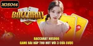 Baccarat XOSO66 - Game Bài Hấp Thu Hút Với 3 Cửa Cược