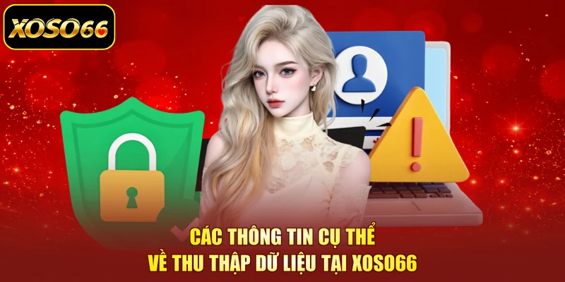 Các thông tin cụ thể về thu thập dữ liệu tại XOSO66
