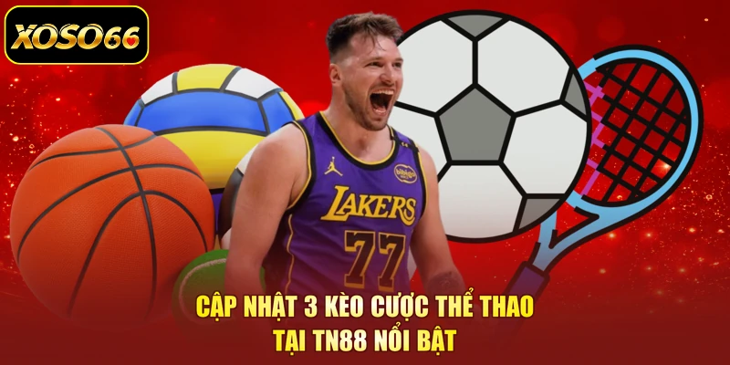 Cập nhật 3 kèo cược thể thao tại TN88 nổi bật