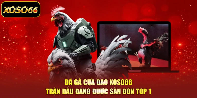 Đá Gà Cựa Dao XOSO66 - Trận Đấu Đáng Được Săn Đón TOP 1