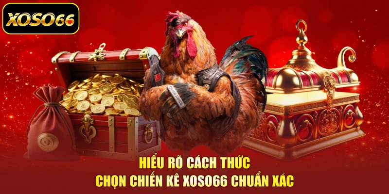 Hiểu rõ cách thức chọn chiến kê XOSo66 chuẩn xác