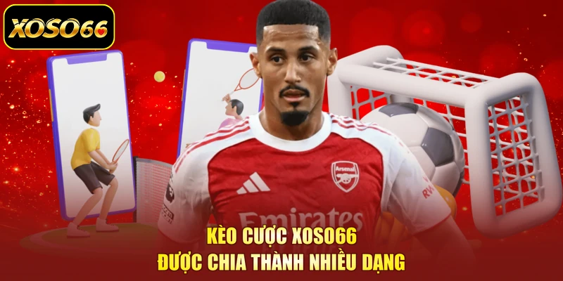 Kèo cược XOSO66 được chia thành nhiều dạng