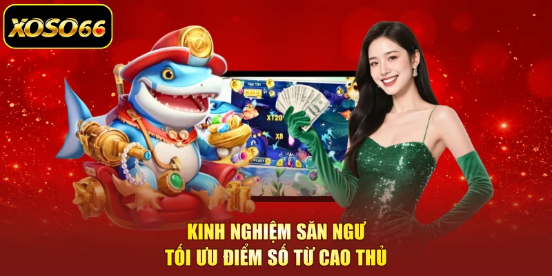 Kinh nghiệm săn ngư tối ưu điểm số từ cao thủ