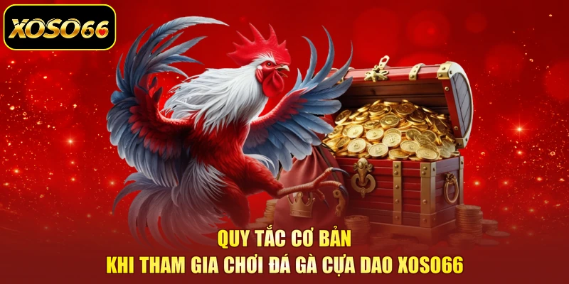 Quy tắc cơ bản khi tham gia chơi đá gà cựa dao XOSO66