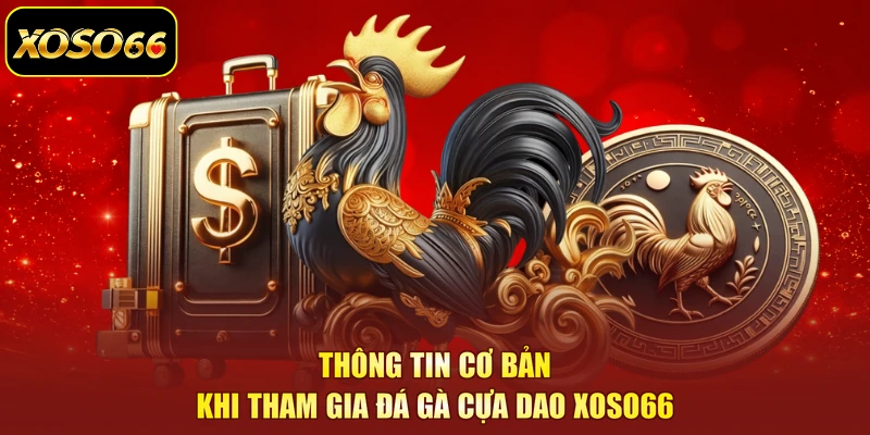 Thông tin cơ bản khi tham gia đá gà cựa dao XOSO66